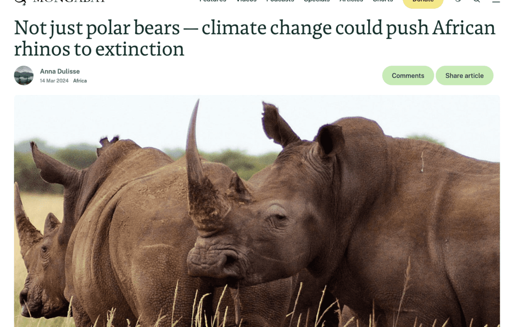 Mongabay